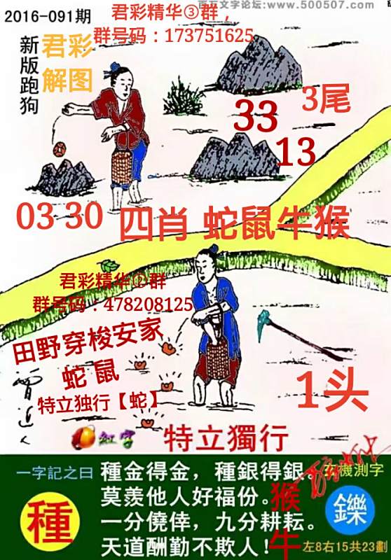 跑狗圖揭秘