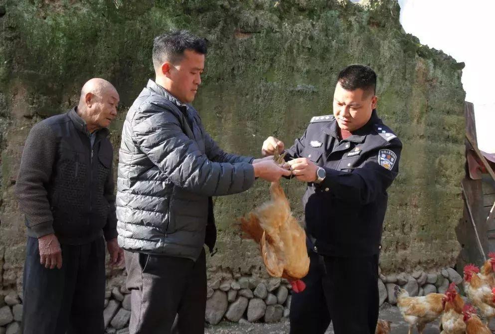 免費(fèi)預(yù)測(cè)背后的秘密