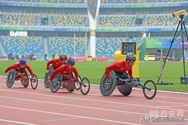 必開一肖策略與秘密