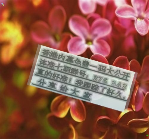 揭秘兩肖必中一肖王中王的秘密策略，揭秘兩肖必中一肖王中王的秘密策略，揭秘生肖彩票的必勝法則！