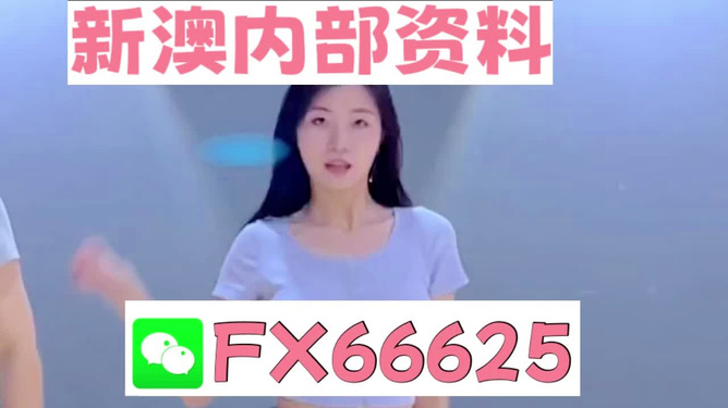 新澳門精準資料大全——管家婆料解析與探索，澳門精準資料大全，管家婆料解析與深度探索