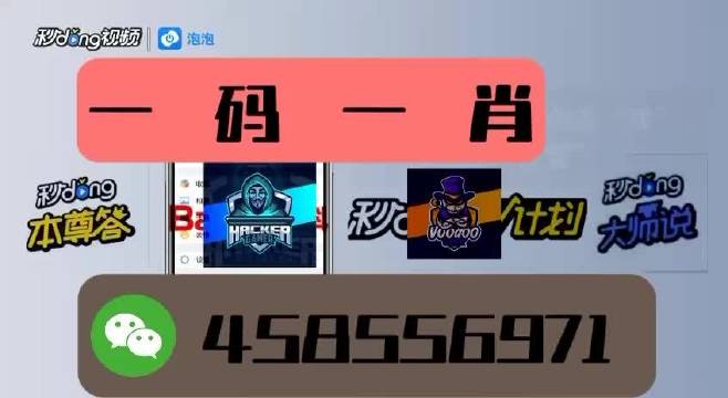 本期一肖一碼王中王，揭秘與探索，揭秘一肖一碼王中王，探索生肖與數(shù)字的神秘聯(lián)系
