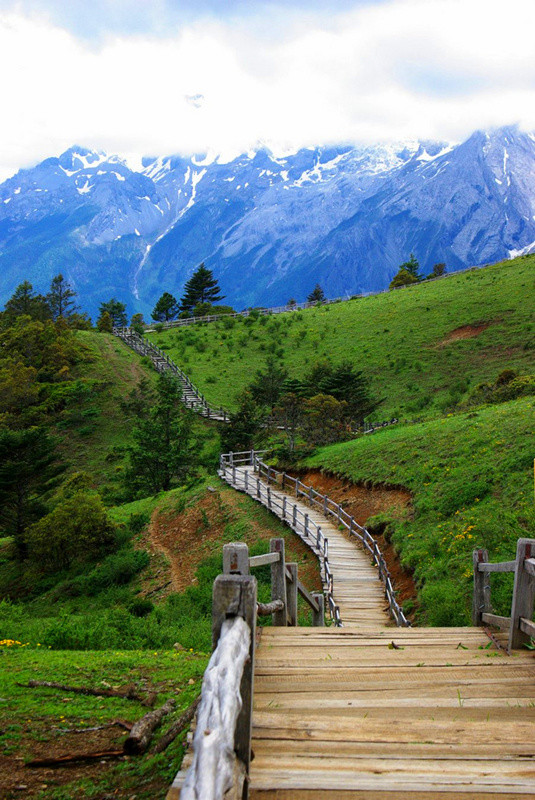 玉龍雪山門票免費政策詳解，玉龍雪山門票免費政策全面解析