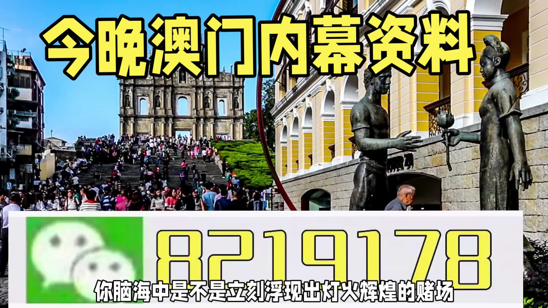 新澳門一肖一特一中，探索與解讀，新澳門一肖一特一中，深度探索與解讀