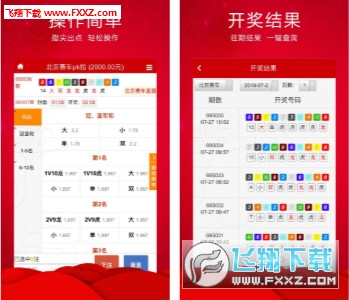 王中王三肖必出一肖，深度解析與探索，王中王三肖必出一肖，深度解析與探索揭秘