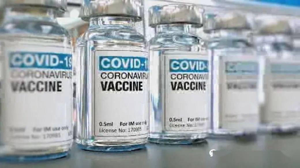 王中王解一肖特，揭秘生肖魅力與獨(dú)特之處，揭秘生肖魅力與獨(dú)特之處，王中王解讀一肖特