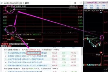 探索300563股吧的獨特魅力與機遇，揭秘300563股吧，獨特魅力與無限機遇