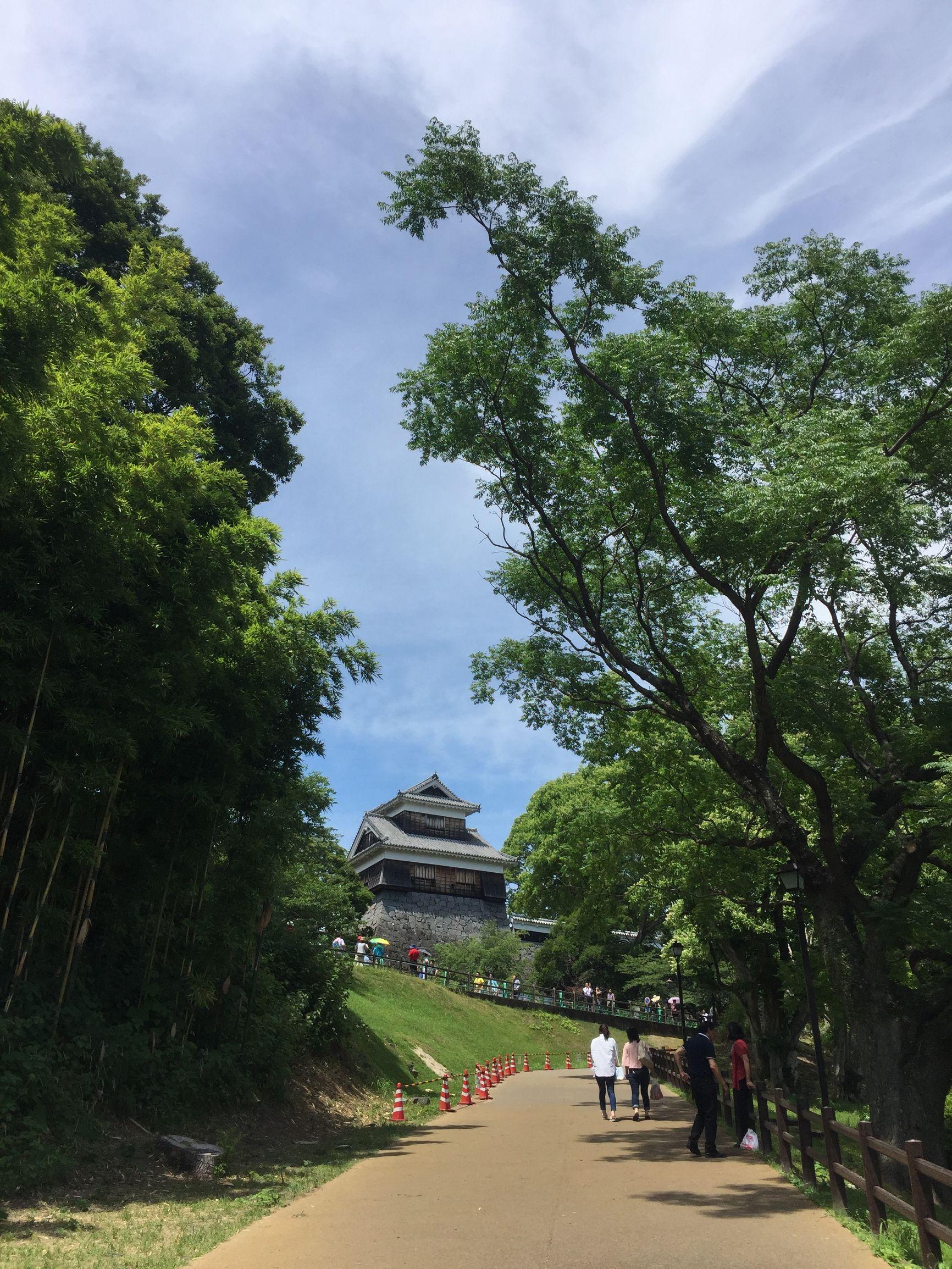 價(jià)格詳解/全面解析