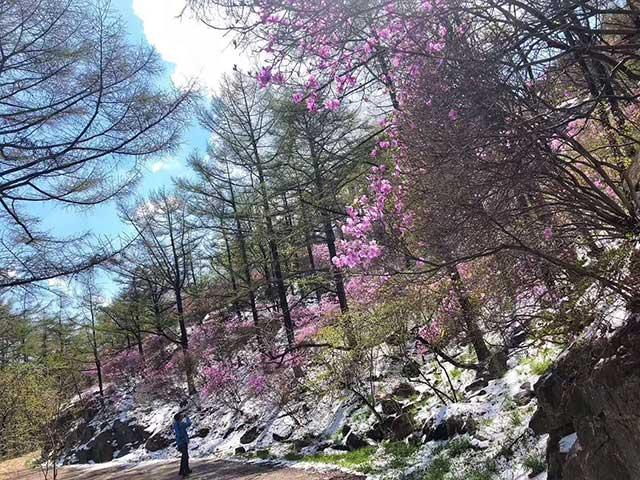 即墨天氣預報，掌握天氣變化，助力生活安排，即墨天氣預報，掌握天氣變化，智能規(guī)劃生活