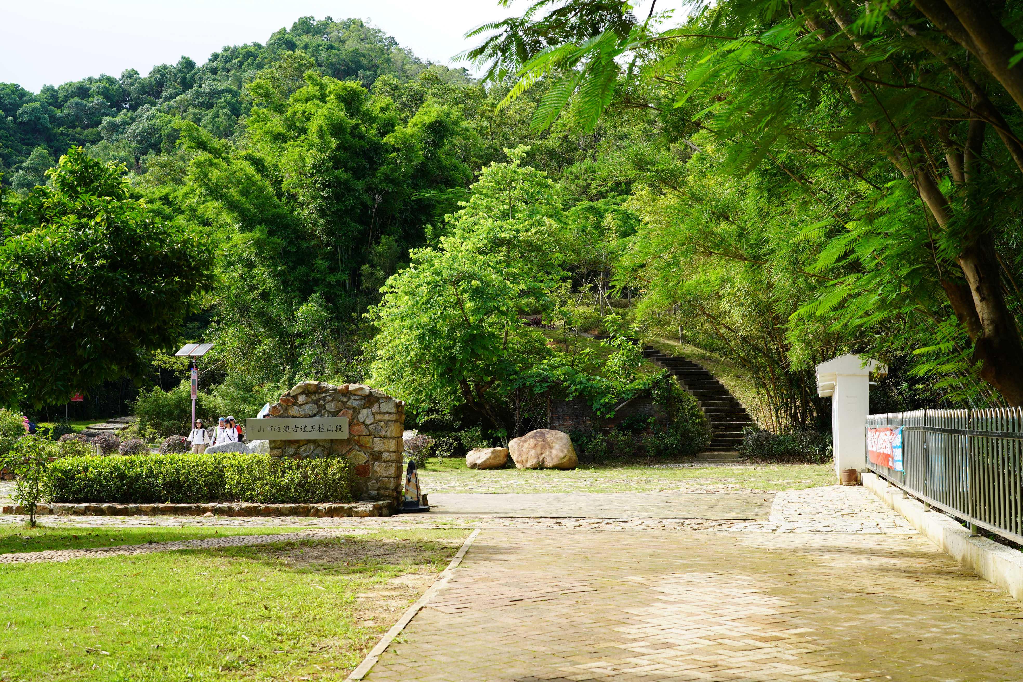 新澳門走勢(shì)圖最新分析與預(yù)測(cè)，澳門走勢(shì)圖最新分析與預(yù)測(cè)概覽