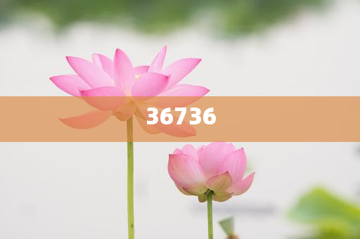 揭秘7777788888精準新傳真，真相大揭秘，揭秘精準新傳真背后的真相，77777與88888的神秘面紗被揭開