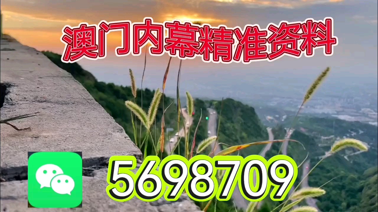 新澳天天開彩資料大全，探索彩票世界的奧秘，探索彩票世界奧秘，新澳天天開彩資料大全