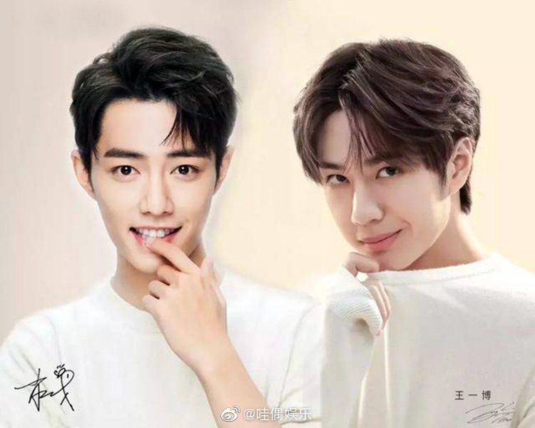 王中王一肖資料深度解析，一探究竟，王中王一肖資料深度解析，揭秘真相