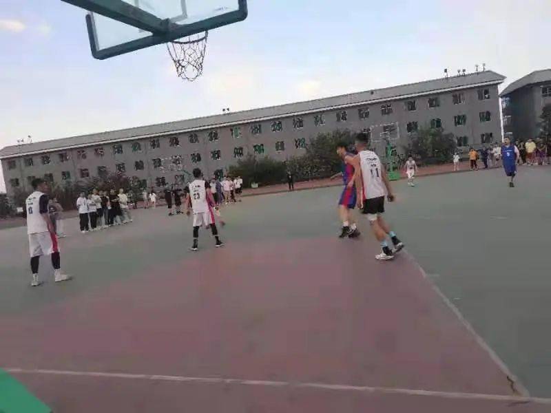 澳門二四六天下彩天天免費(fèi)大全——全面解析澳門彩票文化，澳門彩票文化全面解析，二四六天下彩免費(fèi)大全