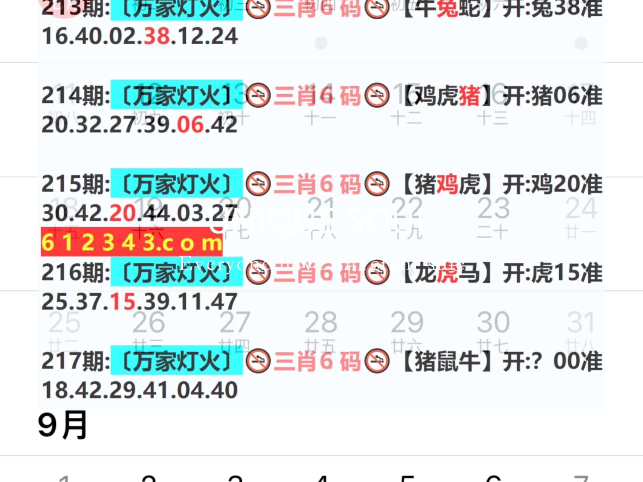 新澳門期期免費資料——探索澳門博彩文化的深度與廣度，澳門博彩文化深度與廣度探索，新澳門期期免費資料揭秘