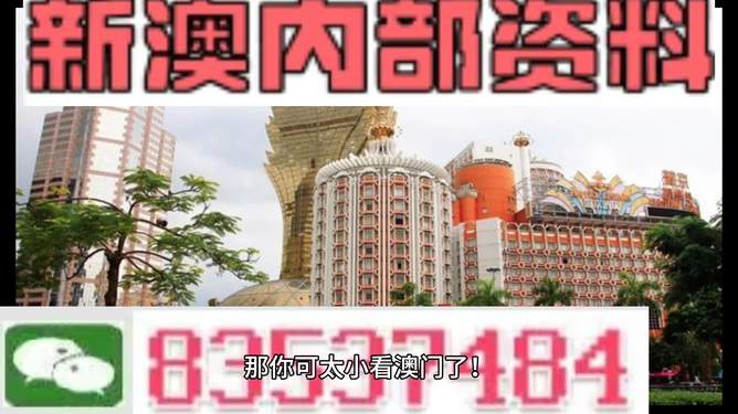 新澳新澳門正版資料，探索與解析，新澳新澳門正版資料深度解析與探索