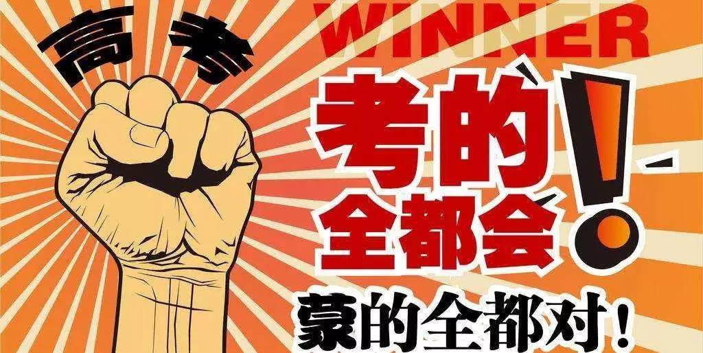 揭秘王中王與肖的不同之處，深度解析第123期，揭秘王中王與肖差異深度解析第123期，獨家對比與解讀