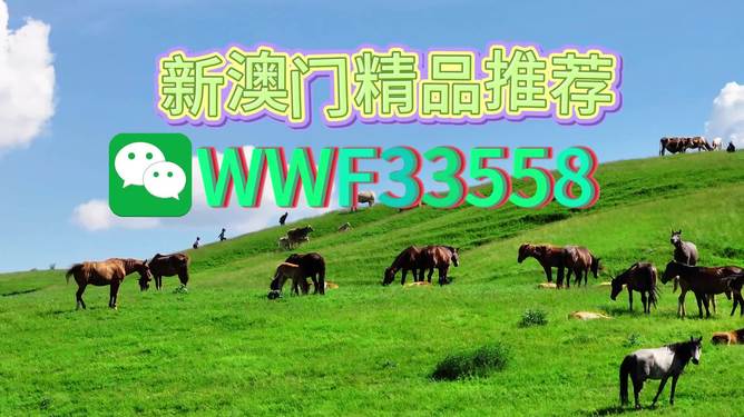 揭秘精準預(yù)測一肖的秘密，解碼77777與88888的神秘數(shù)字組合，揭秘精準預(yù)測生肖的秘密，數(shù)字組合77777與88888的神秘解碼