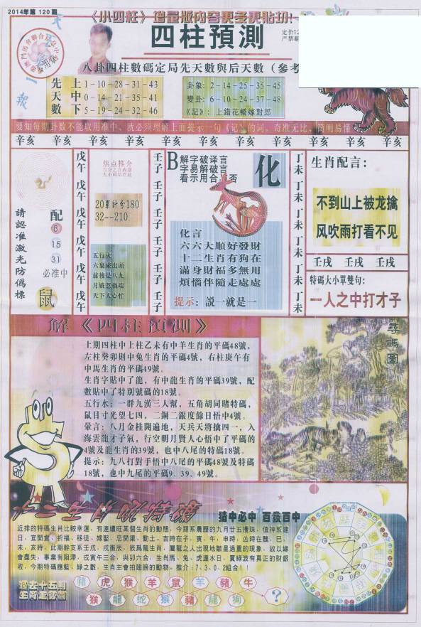 香港王中王找圖看生一肖，揭秘背后的奧秘，揭秘香港王中王找圖看生肖的奧秘