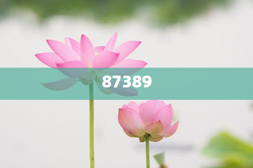 一肖是否包括特肖？深度解析生肖文化中的奧秘，深度解析生肖文化，一肖是否包含特肖？