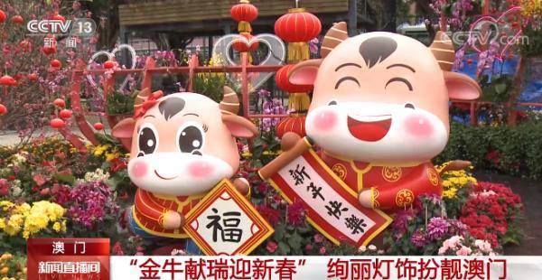 澳門金牛網(wǎng)金牛版論壇——探索與解析，澳門金牛網(wǎng)金牛版論壇，深度探索與解析