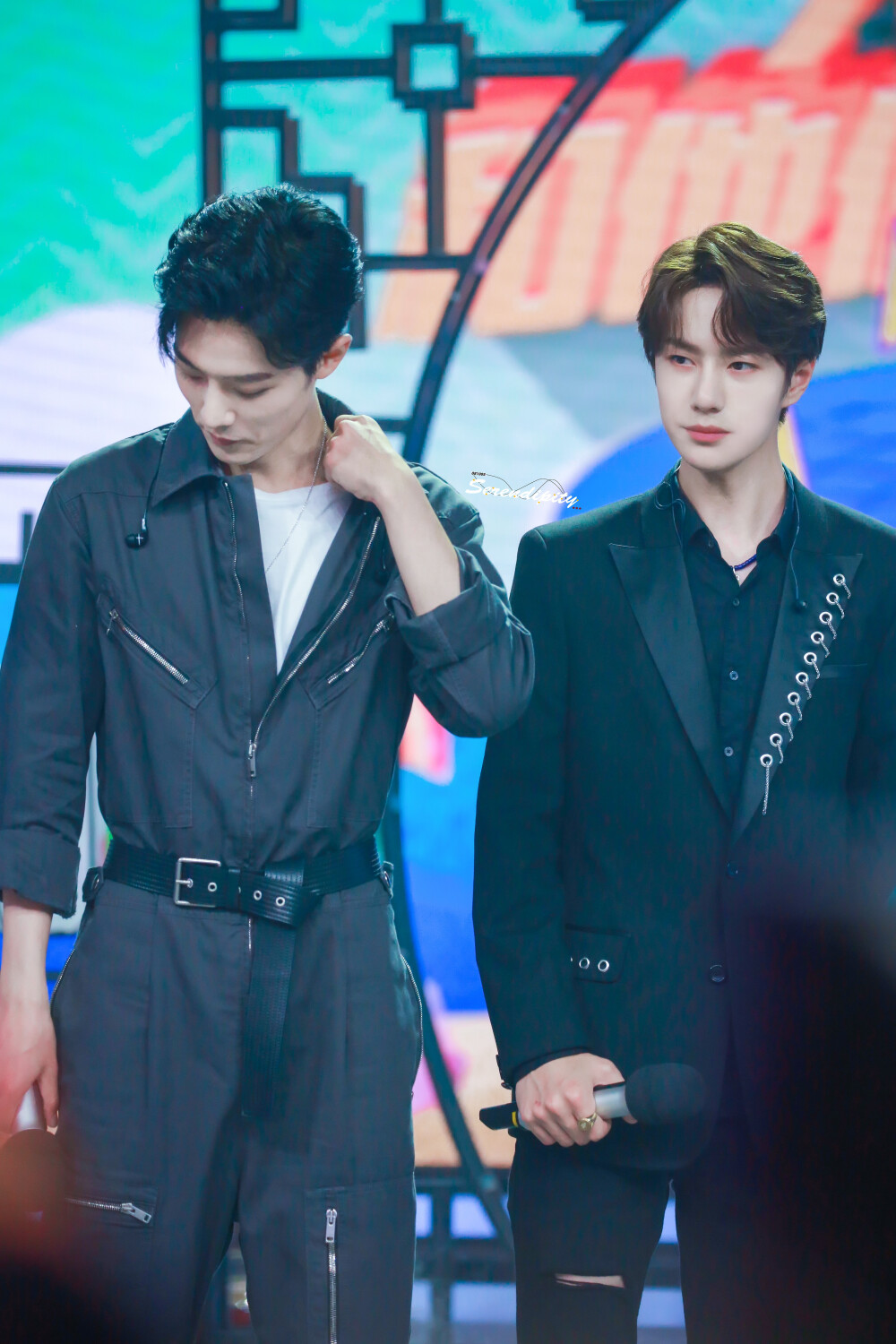 王中王一肖中特，探尋背后的故事與趨勢（2019年觀察），探尋王中王一肖背后的故事與趨勢，2019年觀察報告