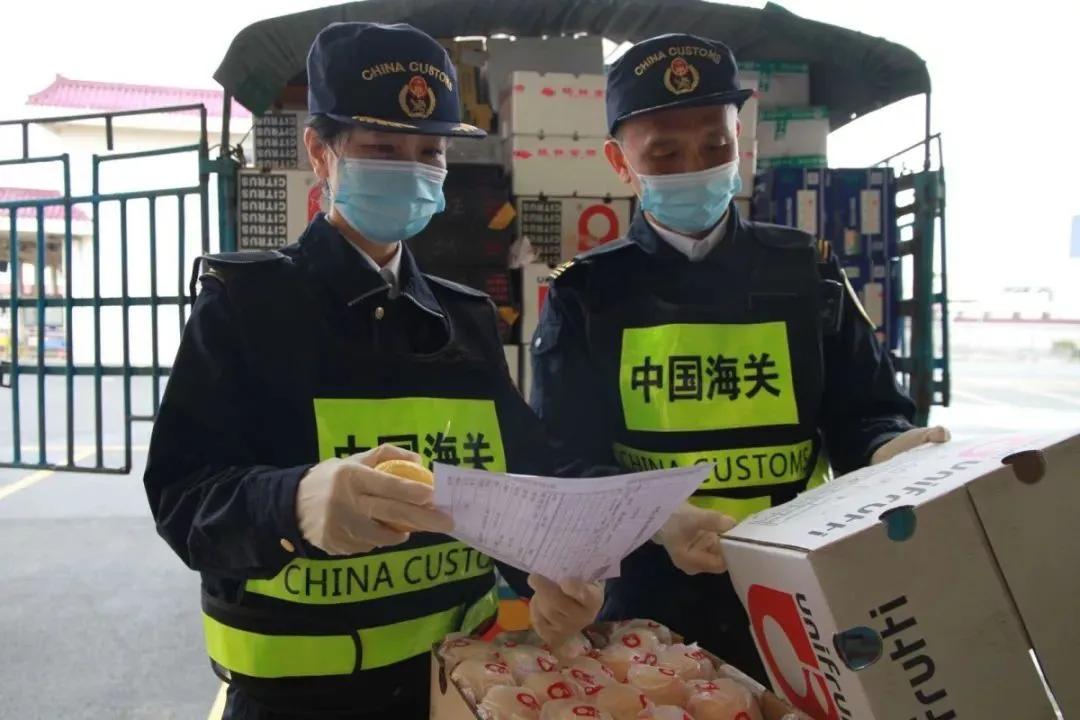 澳門彩票開獎(jiǎng)結(jié)果快速揭曉，探索最新開獎(jiǎng)動(dòng)態(tài)與中獎(jiǎng)秘籍，澳門彩票最新開獎(jiǎng)結(jié)果及中獎(jiǎng)秘籍探索