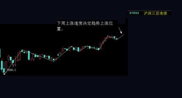 王中王300期指一生肖，揭秘背后的秘密與生肖運(yùn)勢(shì)分析，揭秘王中王300期生肖選擇與生肖運(yùn)勢(shì)深度解析