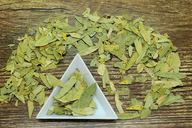 番瀉葉的功效與作用，番瀉葉的功效與作用簡介