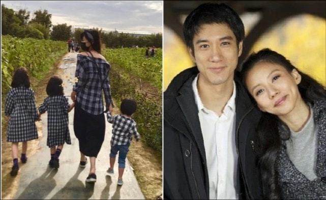 李靚蕾的家世背景深度解析，李靚蕾家世背景深度探究