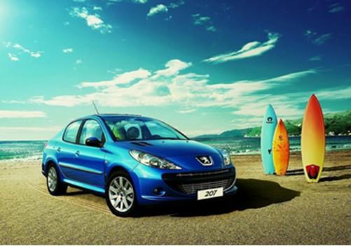 王中王307期指一生肖——深度解讀與SEO優(yōu)化，王中王307期生肖深度解讀與SEO優(yōu)化策略揭秘