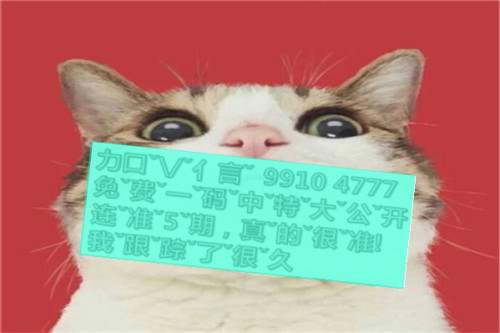 一肖啥意思，深度解析與SEO優(yōu)化文章，一肖含義深度解析與SEO優(yōu)化策略探討