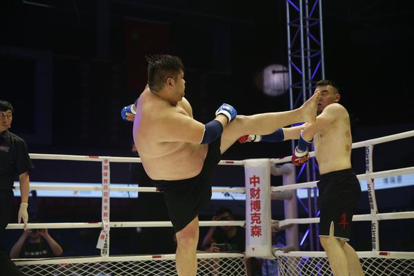 特特馬王中王一碼一肖，揭秘背后的秘密與探索SEO優(yōu)化策略，特特馬王中王一碼一肖，揭秘背后的秘密與SEO優(yōu)化策略探索