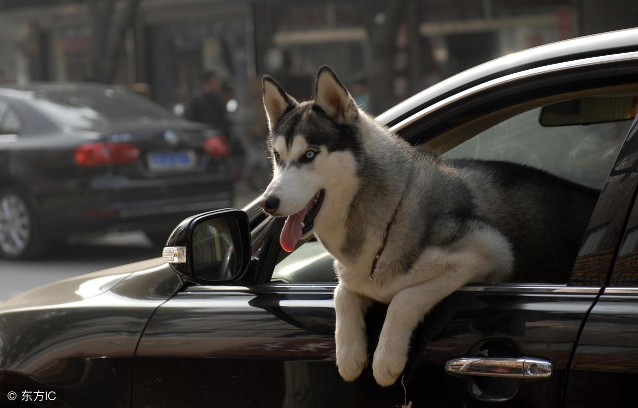 今晚九點(diǎn)三十分特馬開彩盛宴，揭秘彩票背后的秘密！，揭秘彩票背后的秘密，今晚九點(diǎn)三十分特馬開彩盛宴！