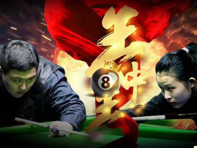 王中王一肖精準(zhǔn)資料大全，揭秘背后的秘密，王中王一肖資料揭秘，背后的秘密全解析