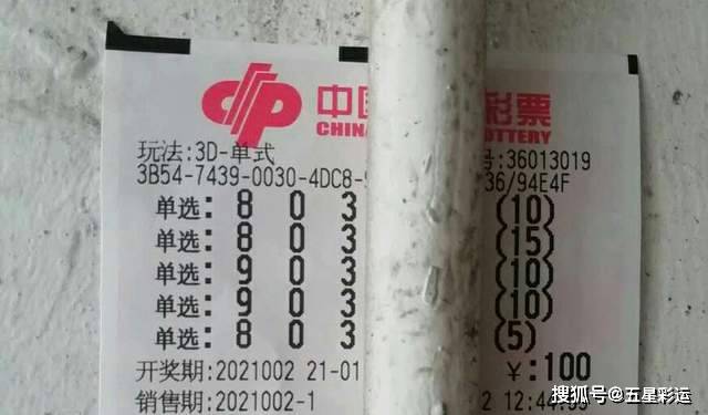 揭秘王中王平特一肖，背后的故事與奧秘，揭秘王中王平特一肖背后的故事與奧秘探秘