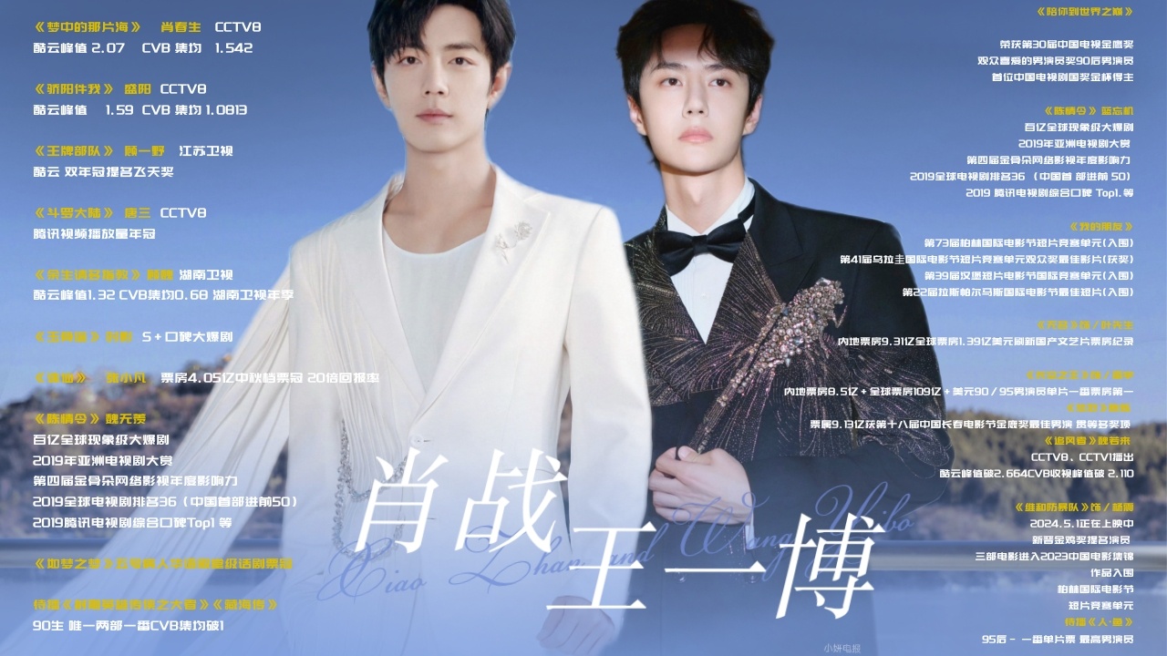 王中王一肖中特期期詮，深度解析與SEO優(yōu)化策略，王中王一肖特期深度解析與SEO優(yōu)化策略全攻略