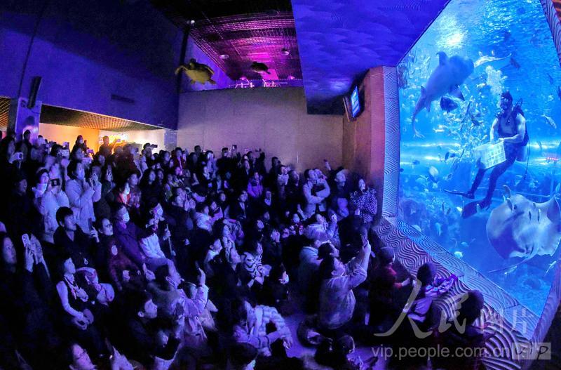 新澳2025今晚開獎(jiǎng)結(jié)果揭曉，期待與驚喜的交匯點(diǎn)，新澳2025今晚開獎(jiǎng)結(jié)果揭曉，期待與驚喜的碰撞