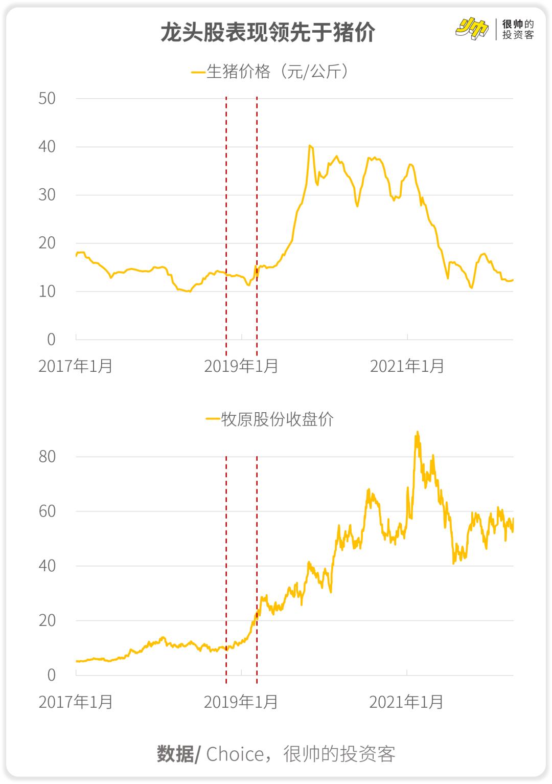 牧原股份股票行情深度解析，牧原股份股票行情全面深度解析