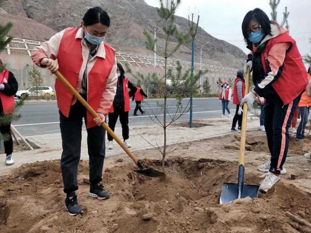 天下彩天天空彩資料免費大全管家，探索與解析，天下彩天天空彩資料大全管家，深度探索與解析