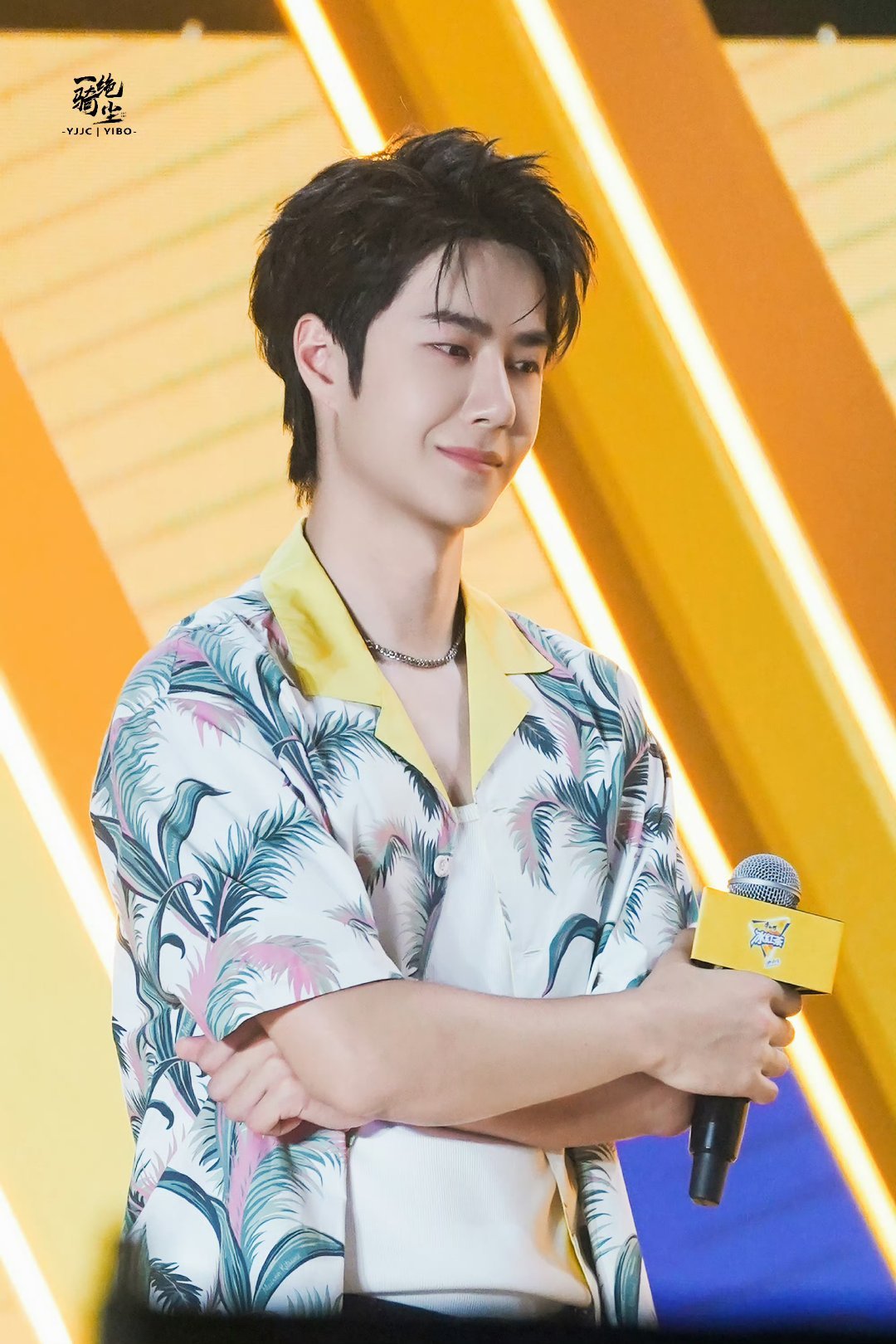 王中王一肖中特家婆，深度解讀背后的故事與奧秘，王中王一肖背后的故事與奧秘深度解讀