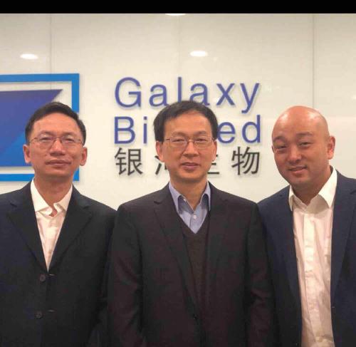 關(guān)于代碼000806的奧秘，深度解析與SEO優(yōu)化策略，代碼000806奧秘揭秘，深度解析與SEO優(yōu)化策略探討