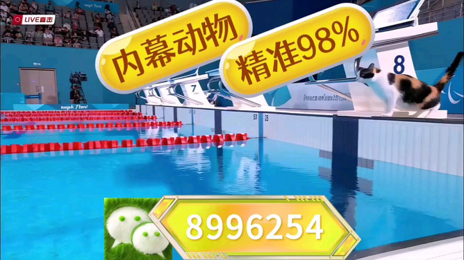 王中王493333中特馬開獎結(jié)果號碼——揭秘與解析彩票背后的秘密，揭秘王中王493333彩票背后的秘密，特馬開獎結(jié)果號碼解析