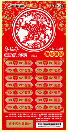 揭秘2020王中王平特一肖的神秘面紗，揭秘王中王平特一肖，神秘面紗下的真相