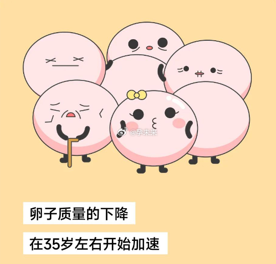 女性卵子質(zhì)量差的表現(xiàn)及其影響，女性卵子質(zhì)量差的表現(xiàn)及其后果