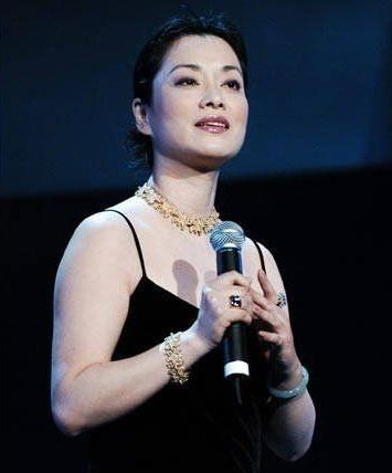 毛阿敏個人資料及年齡詳解，毛阿敏個人資料與年齡揭秘