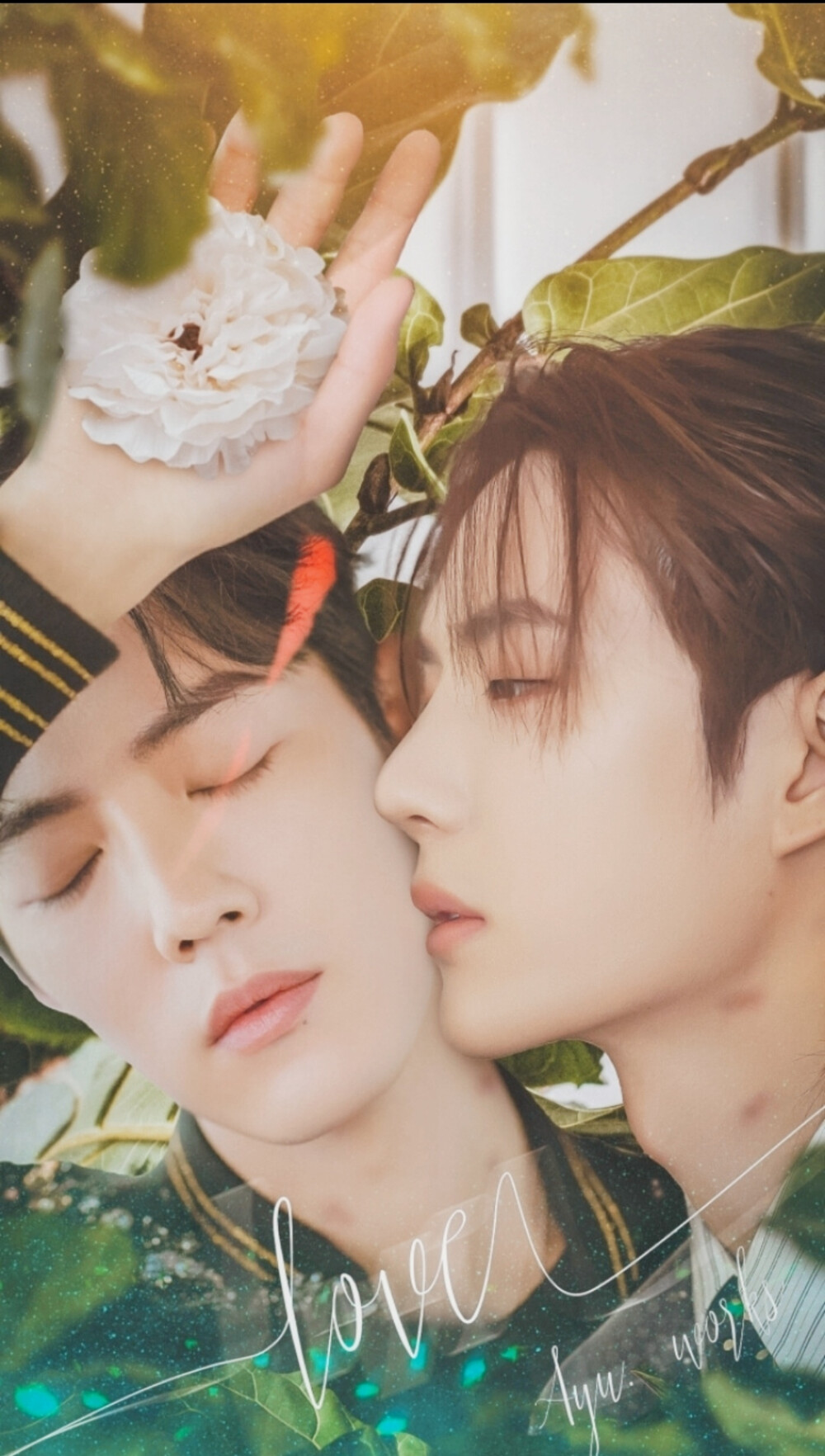 白小姐王中王一肖資料，揭秘背后的故事與神秘面紗，揭秘白小姐王中王一肖背后的故事與神秘面紗