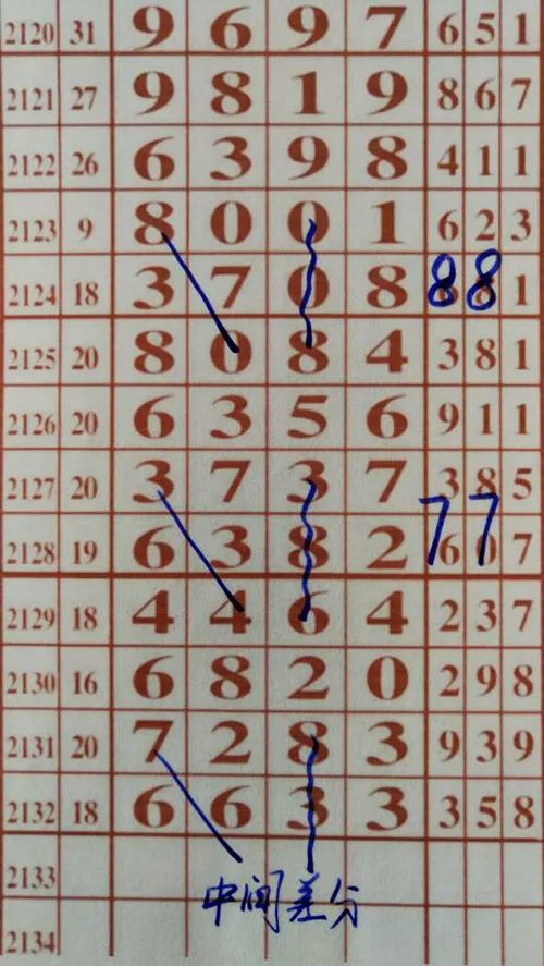 79期王中王三肖一碼，深度解析與SEO優(yōu)化策略，79期王中王三肖一碼深度解析與SEO策略全解析