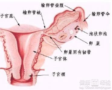 多囊卵巢怎么調(diào)理，全方位的生活與醫(yī)療建議，全方位調(diào)理多囊卵巢，生活與醫(yī)療建議攻略
