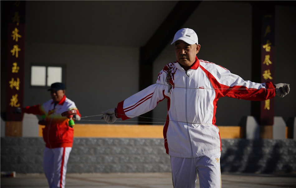 劉伯溫四不像正版一肖，揭秘神秘預(yù)測(cè)背后的故事，劉伯溫四不像正版一肖揭秘，神秘預(yù)測(cè)背后的真相探秘